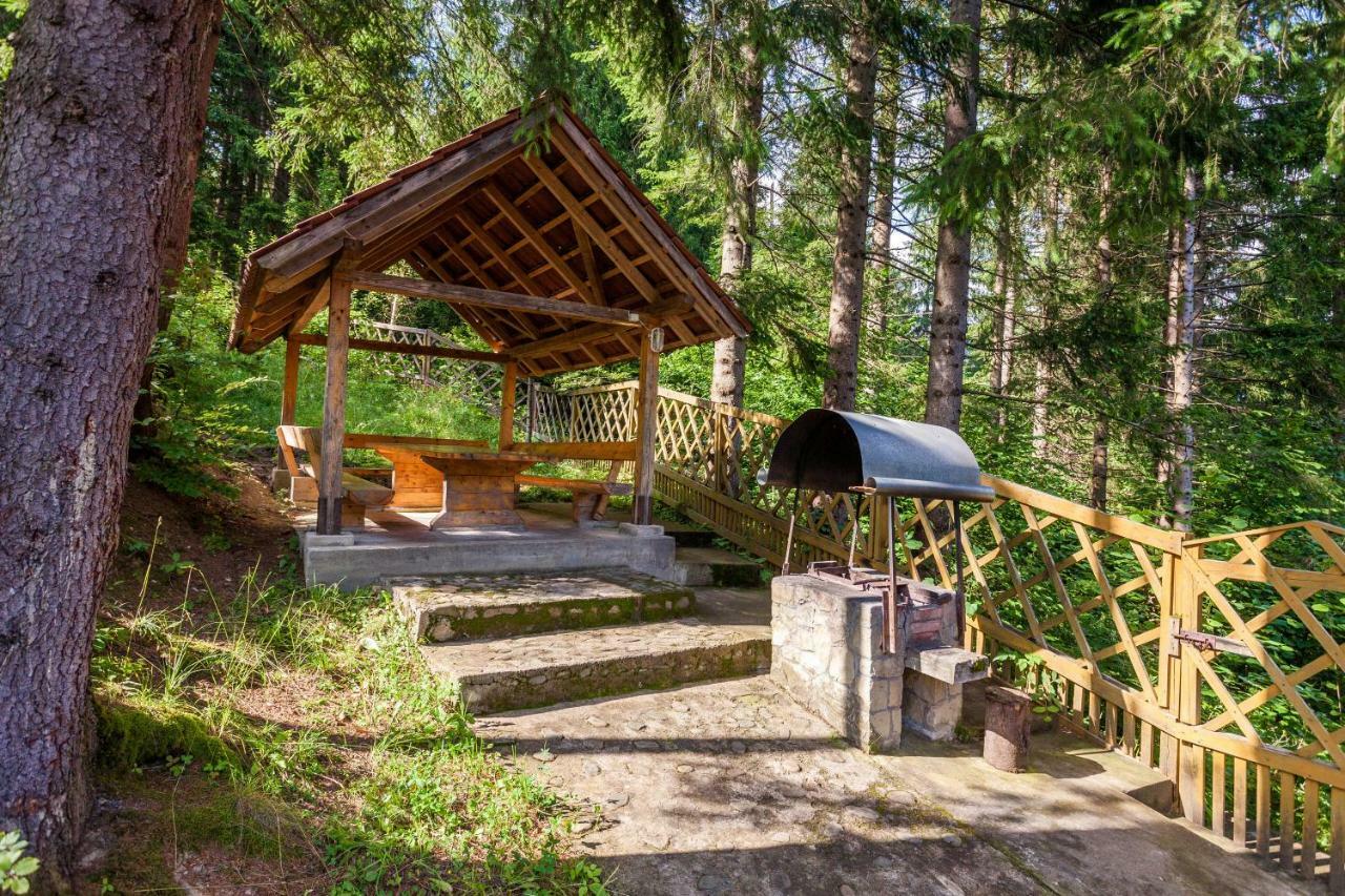Отель Альпина Яремча Экстерьер фото